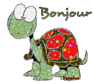 Gif animé bonjour tortue